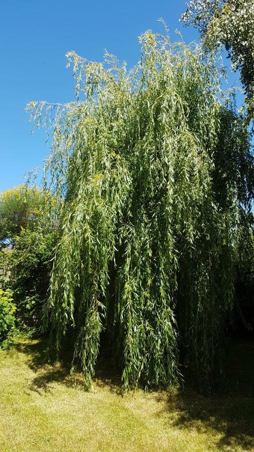 Liz'A Logis De Charme Villa Saint-Come-de-Fresne Luaran gambar