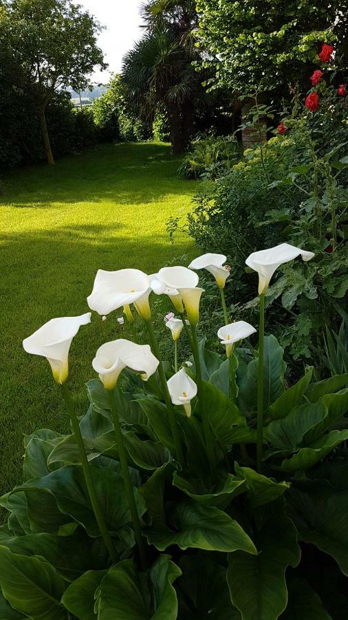 Liz'A Logis De Charme Villa Saint-Come-de-Fresne Luaran gambar